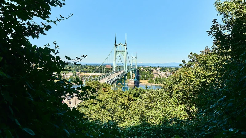 View of the St. Johns bridge through trees from a high elevation