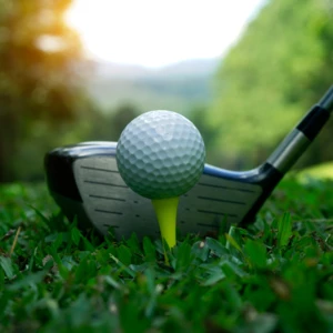 A photo of a golf driver and a golf ball on a tee with green grass & sunrise in the background.